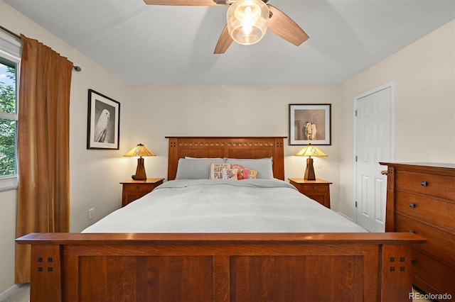 925 Daphne St, Broomfield, CO 80020 - photo 13