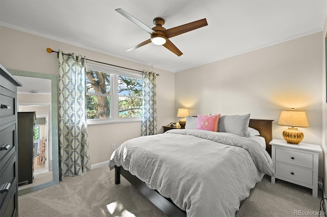 925 Daphne St, Broomfield, CO 80020 - photo 17