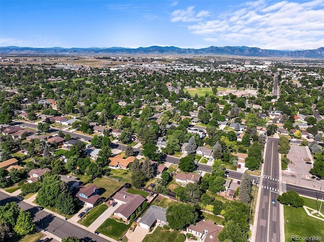 925 Daphne St, Broomfield, CO 80020 - photo 40