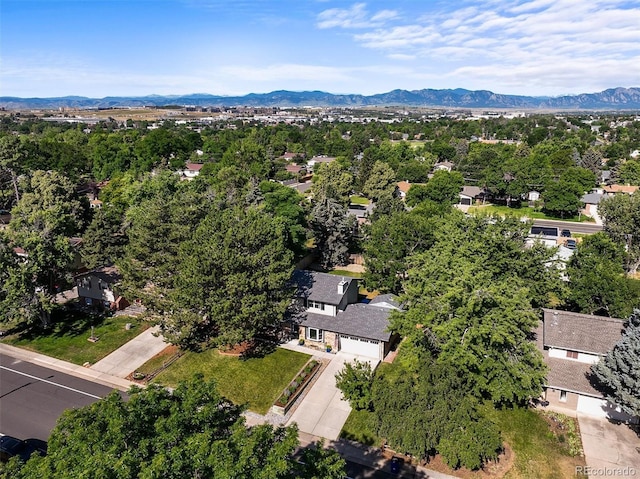 925 Daphne St, Broomfield, CO 80020 - photo 41