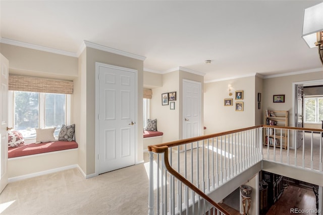 corridor featuring carpet floors, a wealth of natural light, and crown molding