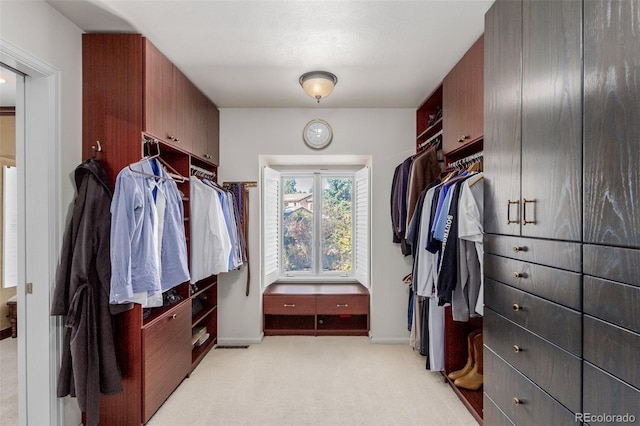 spacious closet with light colored carpet