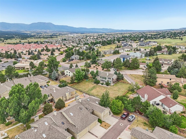 54 Rising Sun Ter, Colorado Springs, CO 80921 - photo 40
