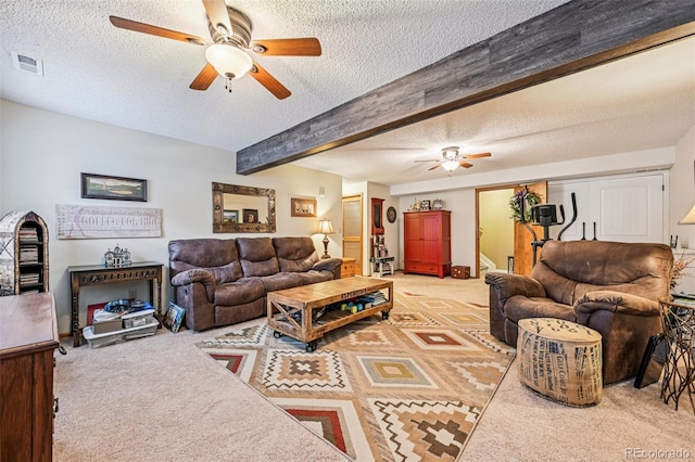 54 Rising Sun Ter, Colorado Springs, CO 80921 - photo 28