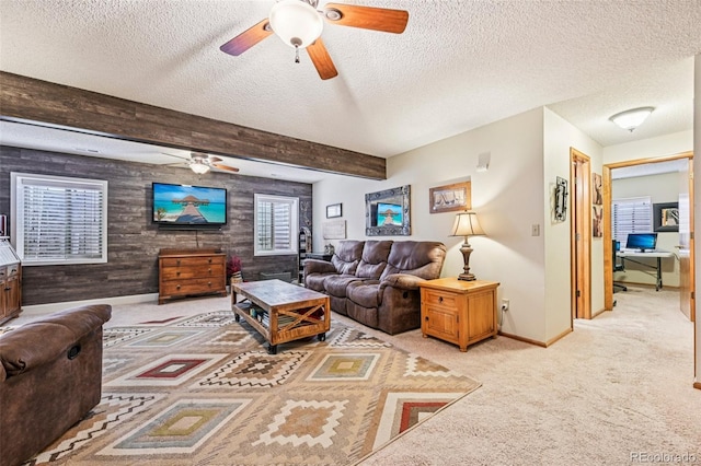 54 Rising Sun Ter, Colorado Springs, CO 80921 - photo 29
