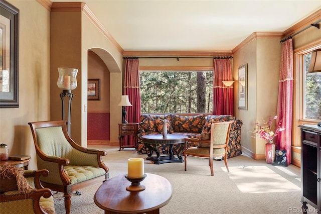 20050 Lost Arrowhead Dr, Monument, CO 80132 - living area featuring plenty of natural light, crown molding, baseboards, arched walkways, and carpet flooring