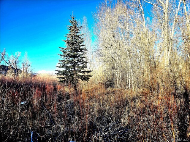 118 Caddis Cir, South Fork, CO 81154