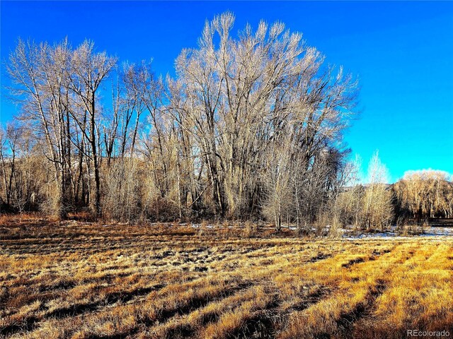 118 Caddis Cir, South Fork, CO 81154