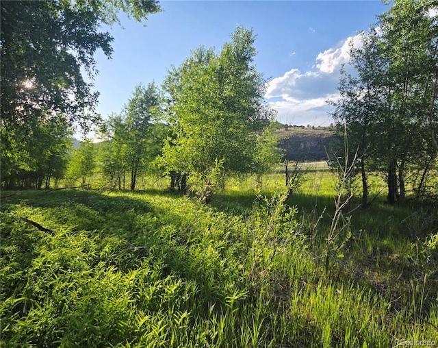 118 Caddis Cir, South Fork, CO 81154 - photo 3
