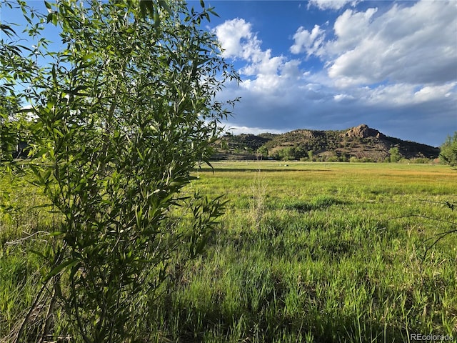 118 Caddis Cir, South Fork, CO 81154 - photo 5