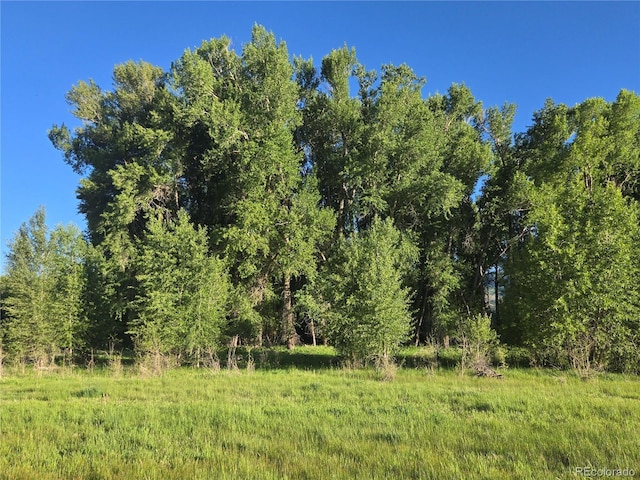 118 Caddis Cir, South Fork, CO 81154 - photo 6