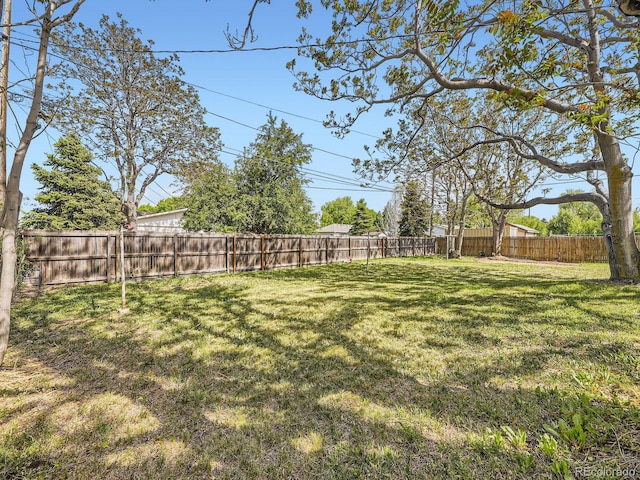 50 Yarrow St, Lakewood, CO 80226 - view of yard