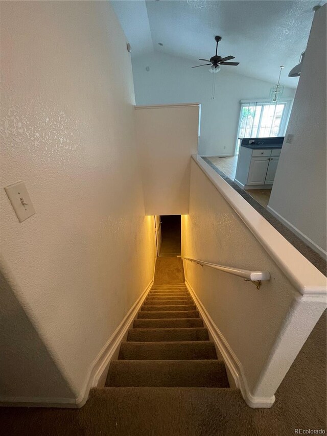 894 S Krameria St, Denver, CO 80224 - photo 17