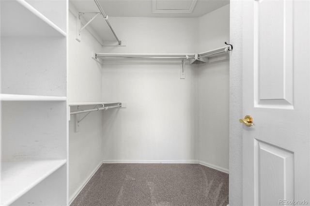 7713 S Zante Ct, Aurora, CO 80016 - spacious closet featuring carpet