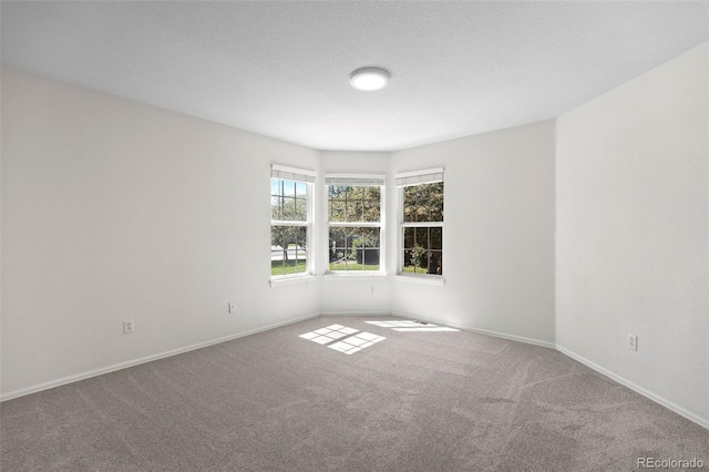 7713 S Zante Ct, Aurora, CO 80016 - unfurnished room featuring carpet floors and baseboards