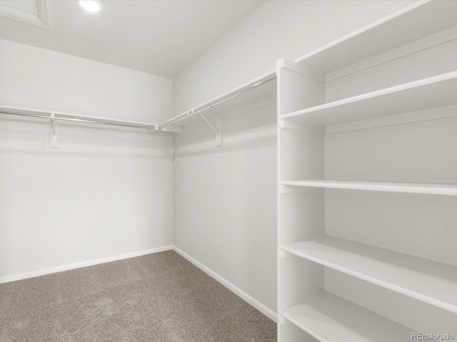 1022 Odessa Lake Rd, Severance, CO 80550 - photo 28