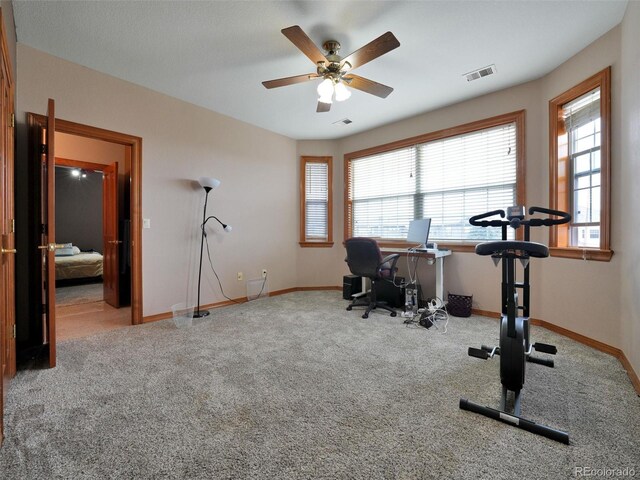 6533 S Quemoy Way, Aurora, CO 80016 - office featuring baseboards, carpet floors, a ceiling fan, and visible vents