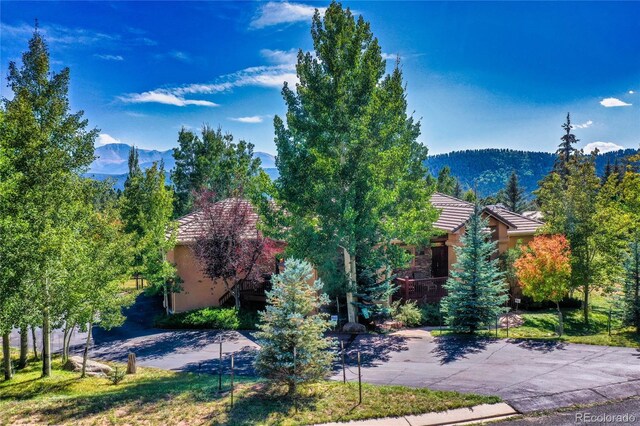 1001 Ponderosa Way, Woodland Park, CO 80863 - view of mountain feature