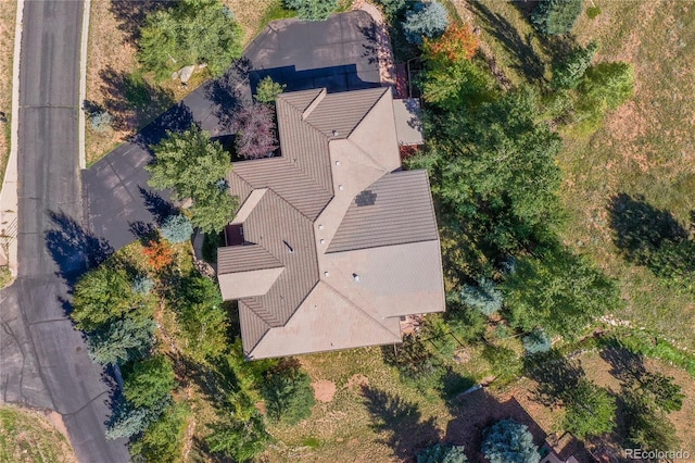 drone / aerial view