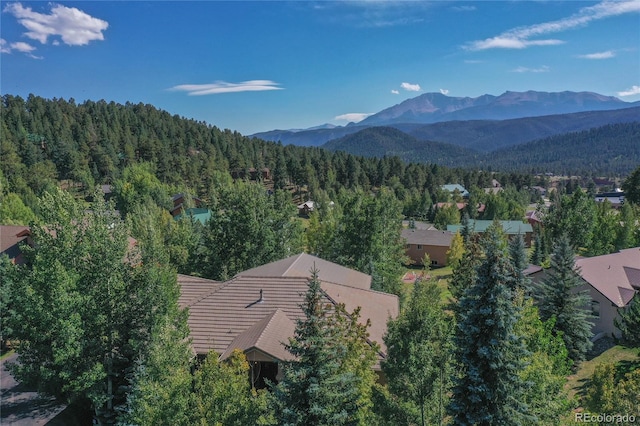 mountain view with a forest view