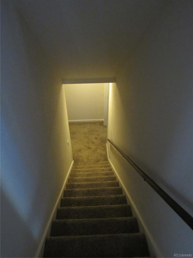 stairs with carpet floors