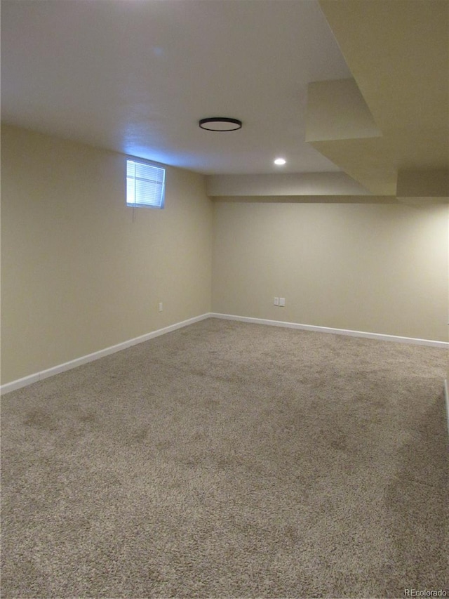 basement featuring carpet