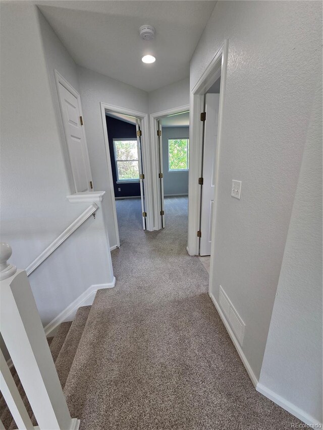 8772 S Carr Way, Littleton, CO 80128 - corridor with carpet floors and baseboards