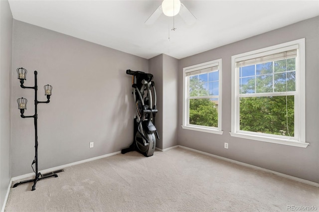 9503 Longs Peak Dr, Commerce City, CO 80640 - photo 12