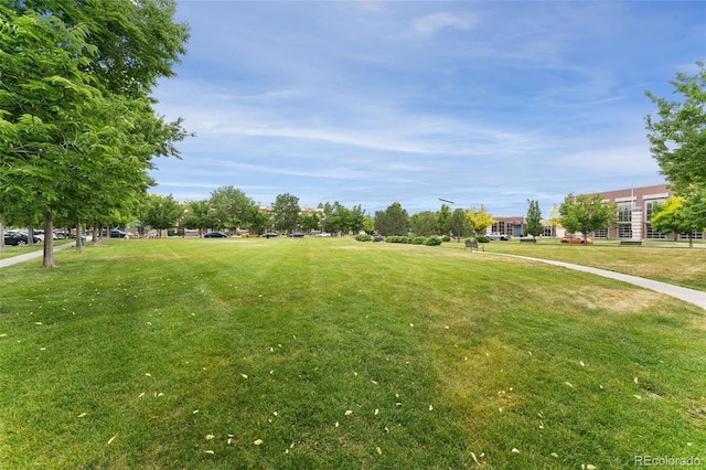 9503 Longs Peak Dr, Commerce City, CO 80640 - photo 18