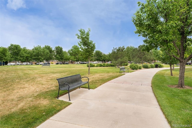 9503 Longs Peak Dr, Commerce City, CO 80640 - photo 19