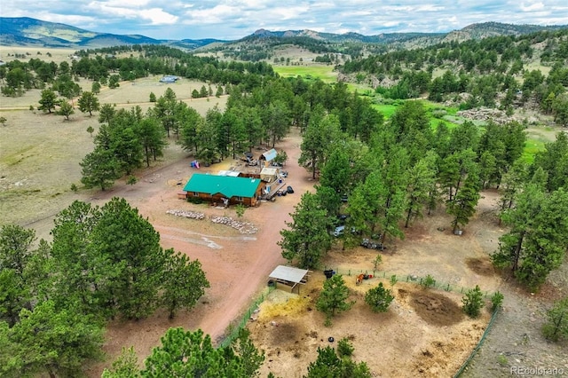 141 Cabin Ln, Guffey, CO 80820 - photo 2