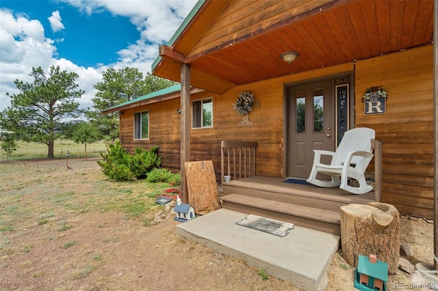 141 Cabin Ln, Guffey, CO 80820 - photo 7