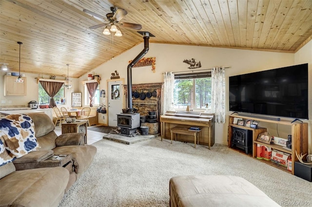 141 Cabin Ln, Guffey, CO 80820 - photo 8