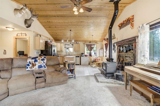 141 Cabin Ln, Guffey, CO 80820 - photo 11