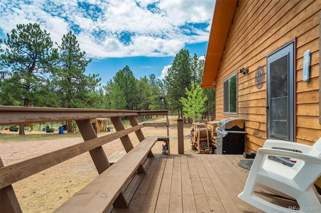 141 Cabin Ln, Guffey, CO 80820 - photo 13