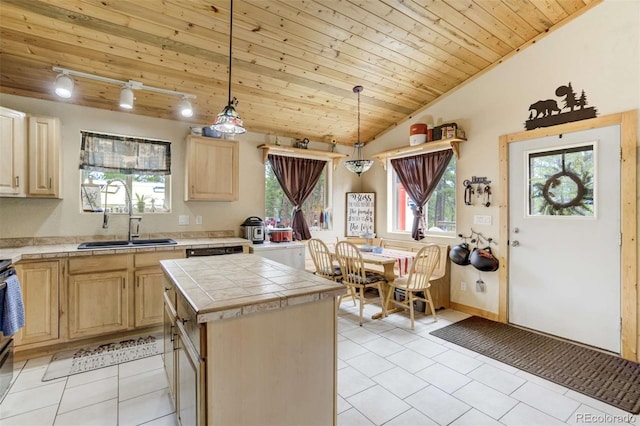 141 Cabin Ln, Guffey, CO 80820 - photo 14