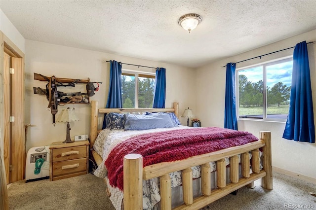 141 Cabin Ln, Guffey, CO 80820 - photo 16