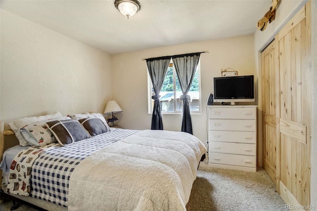 141 Cabin Ln, Guffey, CO 80820 - photo 20