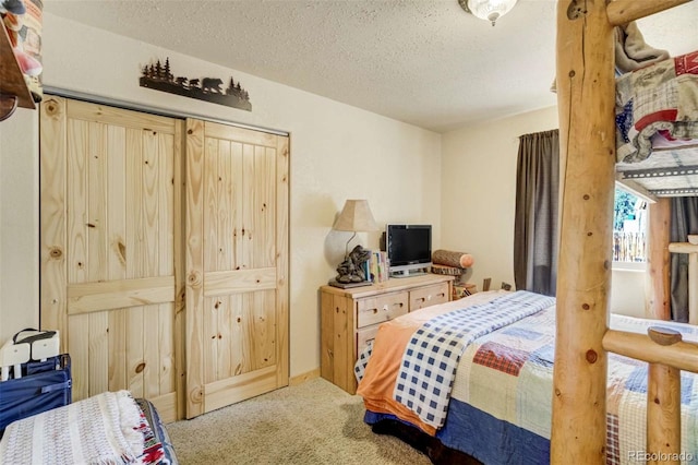 141 Cabin Ln, Guffey, CO 80820 - photo 22