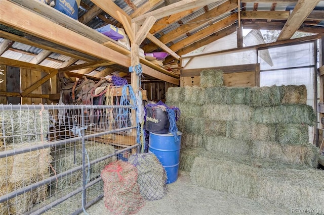 141 Cabin Ln, Guffey, CO 80820 - photo 33