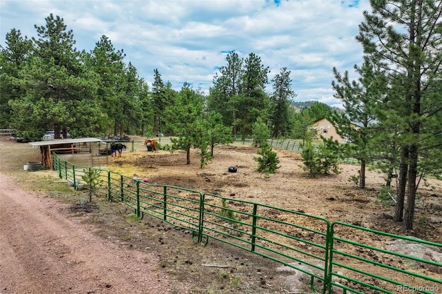 141 Cabin Ln, Guffey, CO 80820 - photo 35