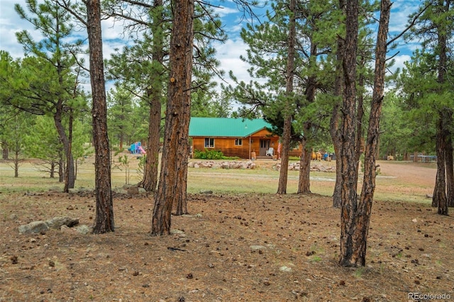 141 Cabin Ln, Guffey, CO 80820 - photo 41