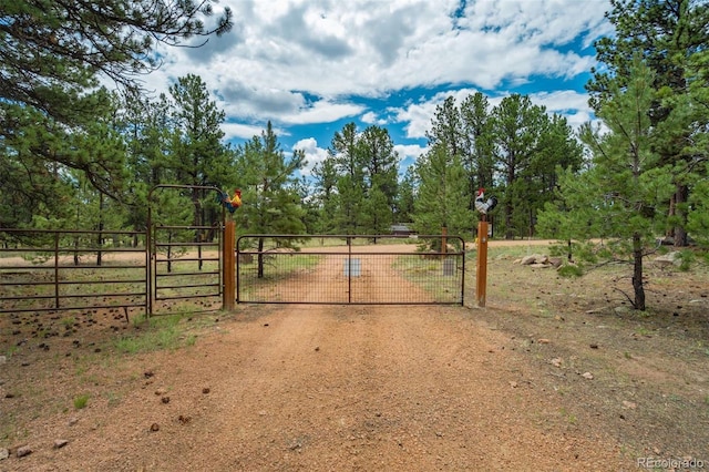 141 Cabin Ln, Guffey, CO 80820 - photo 43