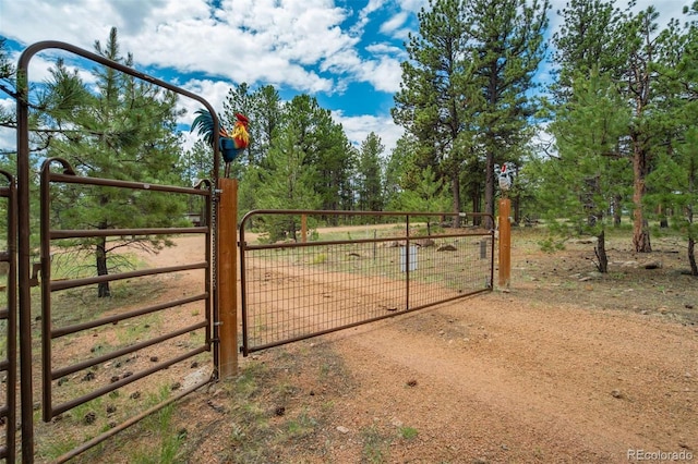 141 Cabin Ln, Guffey, CO 80820 - photo 44