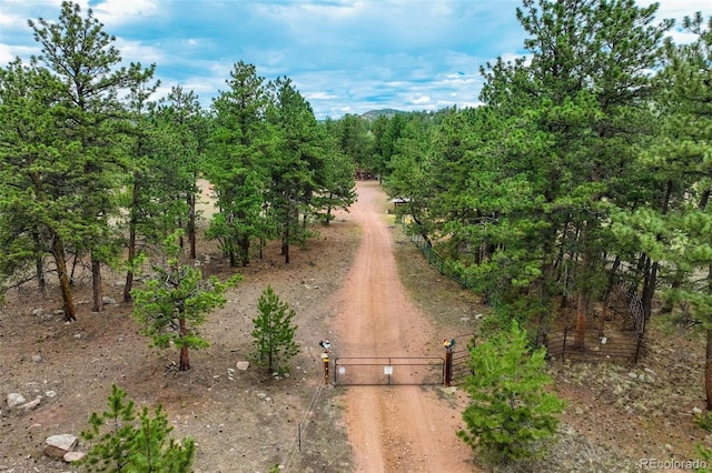 141 Cabin Ln, Guffey, CO 80820 - photo 45