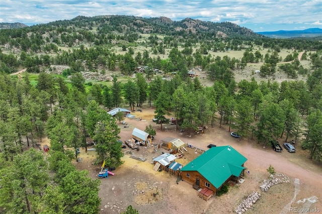 141 Cabin Ln, Guffey, CO 80820 - photo 46