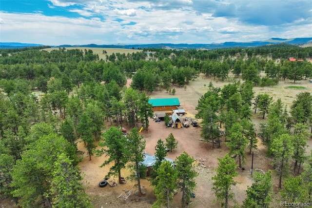 141 Cabin Ln, Guffey, CO 80820 - photo 47