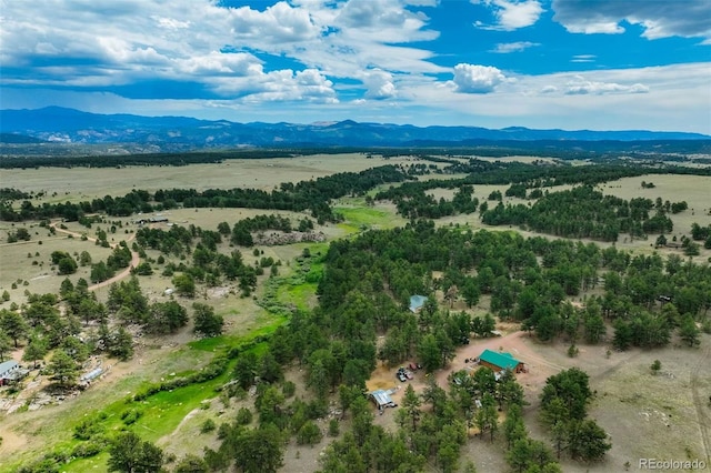 141 Cabin Ln, Guffey, CO 80820 - photo 48