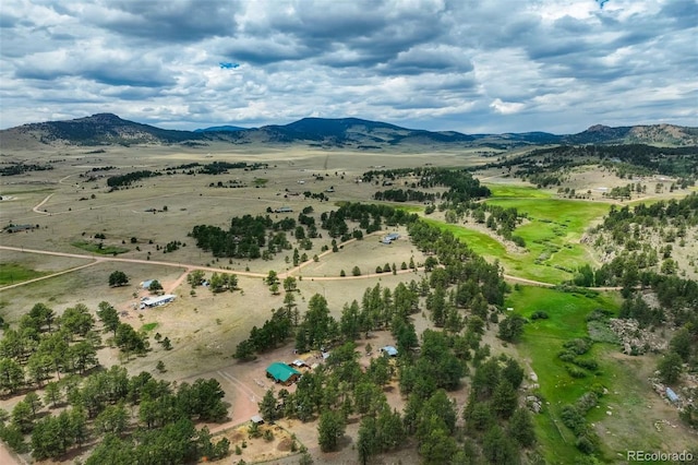 141 Cabin Ln, Guffey, CO 80820 - photo 49