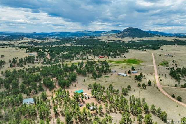 141 Cabin Ln, Guffey, CO 80820 - photo 50